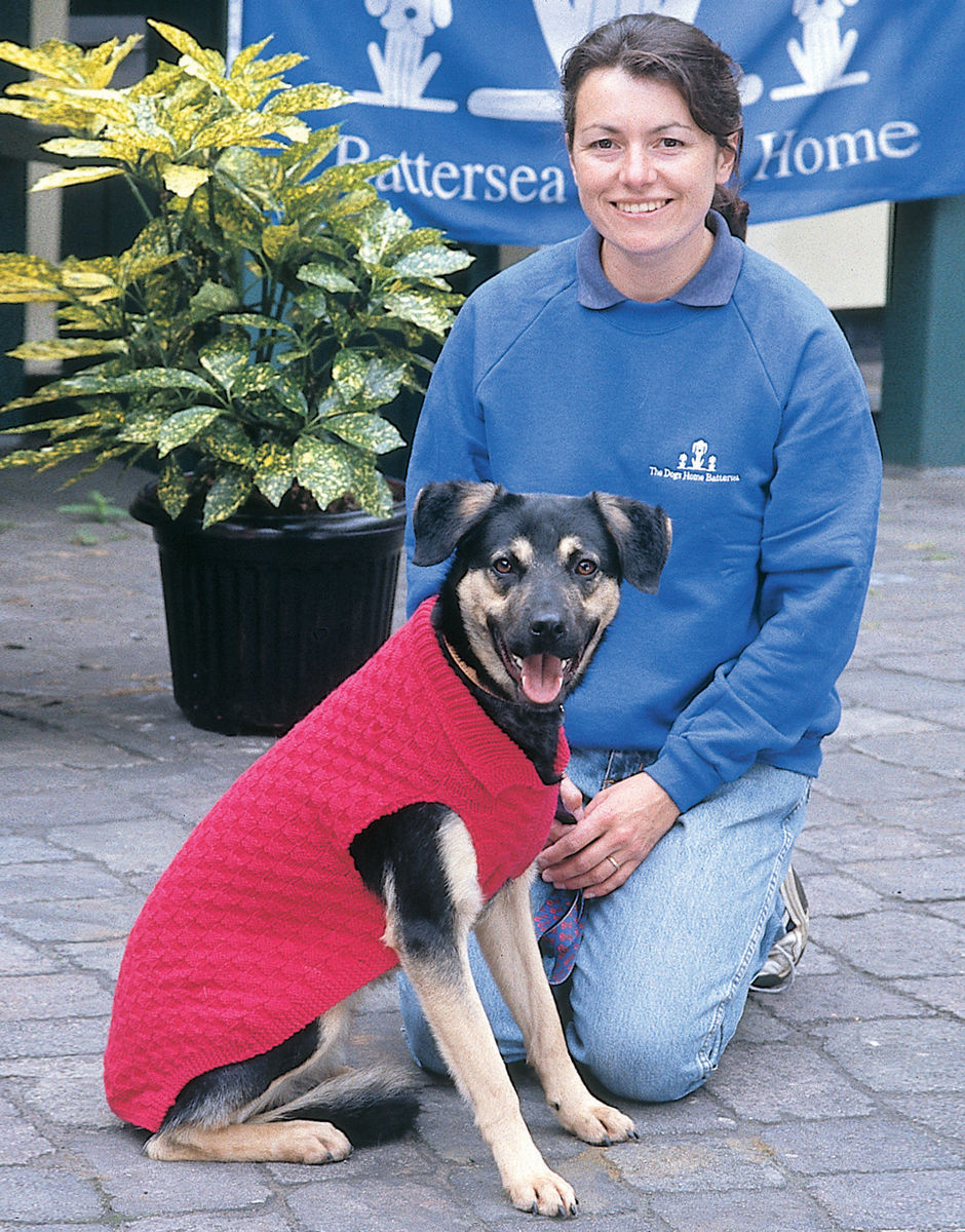 Dog Blanket Coat in Hayfield Bonus DK Sirdar